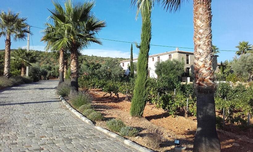 La Bastide De L'Oliveraie Le Castellet  Exterior photo